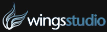Zaner Maidana´s Portfolio Online – Wings Studio
